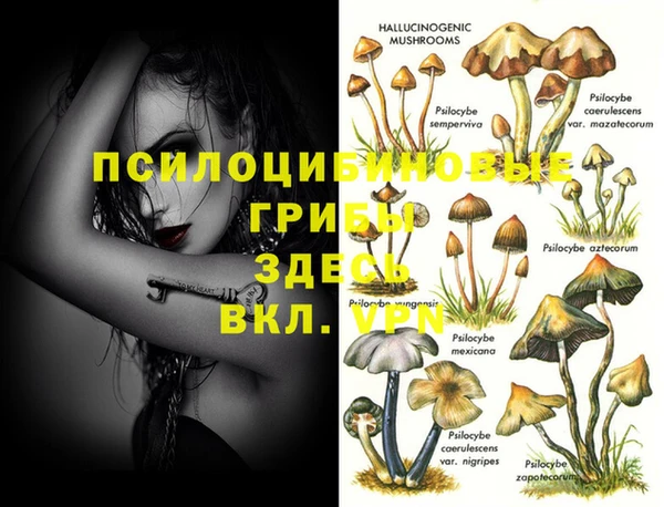 кокаин колумбия Алексин