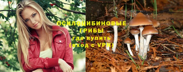 бутират Алзамай